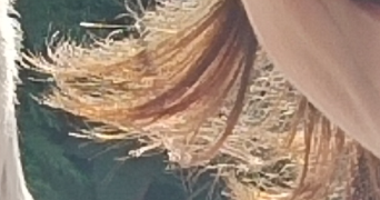 elisa pet sitter à ST LOUET SUR VIRE 50420_0