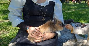 gaëlane pet sitter à NANTERRE 92000_1