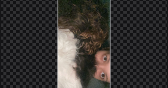 dalia pet sitter à ST CYR SUR LOIRE 37540_2