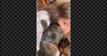 dalia pet sitter à ST CYR SUR LOIRE 37540_1
