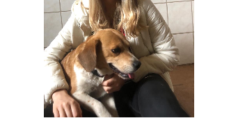 janine pet sitter à ST AMAND LES EAUX 59230_3