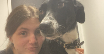 pauline pet sitter à LABBEVILLE 95690_0