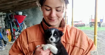 aymie pet sitter à AUDENGE 33980