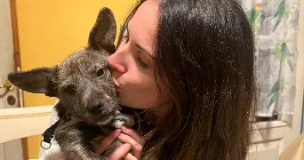 clementine pet sitter à JOUY LE MOUTIER 95280