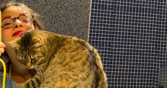 margot pet sitter à LEVALLOIS PERRET 92300_7