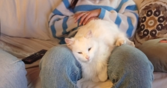 alix pet sitter à LA ROCHE SUR YON 85000_3