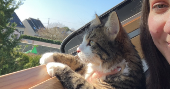 jade pet sitter à ANGERS 49000_1