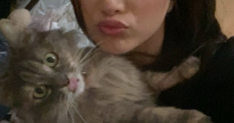 maïlyss pet sitter à PONT ST VINCENT 54550_3
