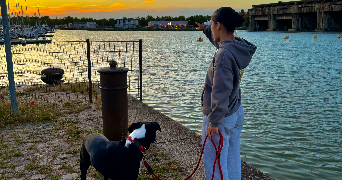 manon pet sitter à BORDEAUX 33300_0