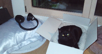 méline pet sitter à ST PRIEST 69800_2