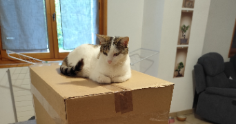 guylène pet sitter à AYSE 74130_3