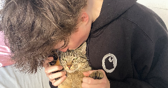 ilona pet sitter à PARIS 13 75013_1