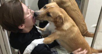tatiana pet sitter à TREPOT 25620_2