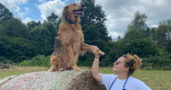 mathilde pet sitter à PARIS 16 75016_1