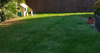 audrey pet sitter à NIEPPE 59850_1