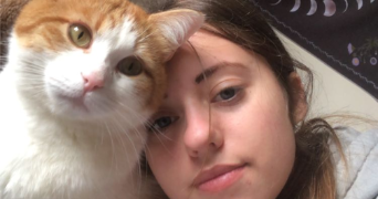 nouchka  pet sitter à ST REMY LES CHEVREUSE 78470_2