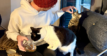 yoann pet sitter à PARIS 08 75008_2