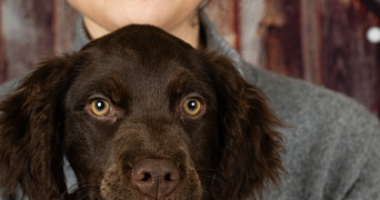 salomé dog sitter à WATTIGNIES 59139_1