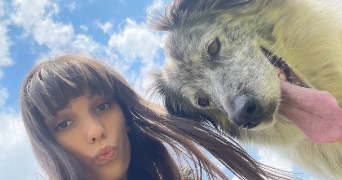 coline pet sitter à CARQUEFOU 44470_0