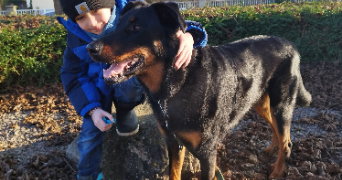 céline  pet sitter à LAMPERTHEIM 67450_5