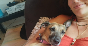 annabelle pet sitter à MARSEILLE 05 13005_4