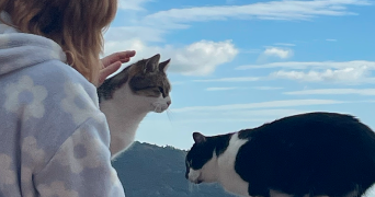 lise pet sitter à MONTPELLIER 34070_1