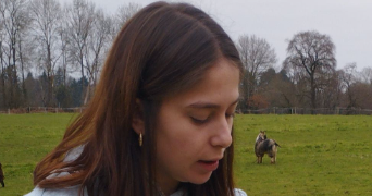 maeva pet sitter à BREST 29200_0