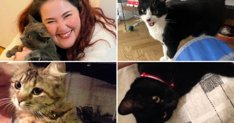 gabriele pet sitter à ROMAINVILLE 93230_2