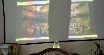 andréa pet sitter à MARSEILLE 01 13001_1