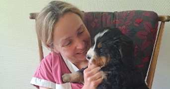 celine pet sitter à PLOUNEVENTER 29400_0