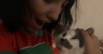 aya pet sitter à LYON 07 69007_3
