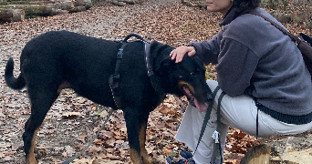 jeanne pet sitter à PARIS 07 75007_4