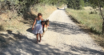 kim pet sitter à BEAUVOISIN 30640_3