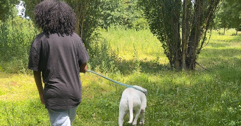 lilla pet sitter à NANTERRE 92000_3