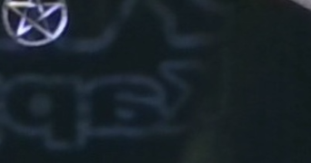 toma pet sitter à BEHONNE 55000_0