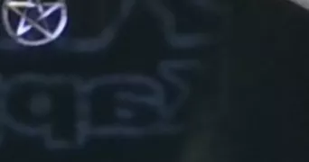 toma pet sitter à BEHONNE 55000