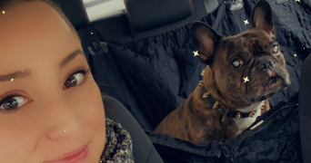 alexane pet sitter à VERNEUIL SUR SEINE 78480_2