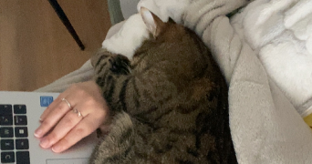 fleur pet sitter à NANCY 54000_3