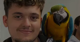 alexis pet sitter à PONTCHATEAU 44160