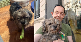 antoine pet sitter à PARIS 11 75011_2