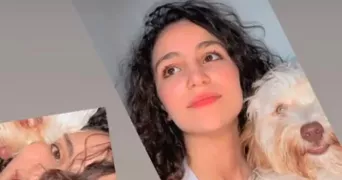 lydia pet sitter à AIX EN PROVENCE 13090