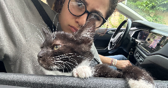 lea pet sitter à MORET LOING ET ORVANNE 77250_0