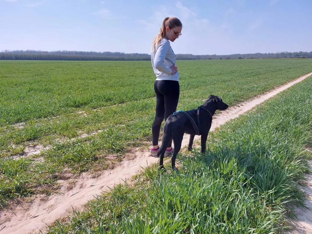 Valentine pet sitter à Ferrières-en-Brie 77164