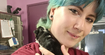 cheyenne pet sitter à RENNES 35000_0