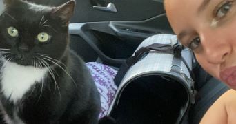 sofia pet sitter à LILLE 59000_1