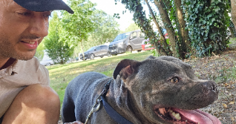charly pet sitter à PONT DE RUAN 37260_5