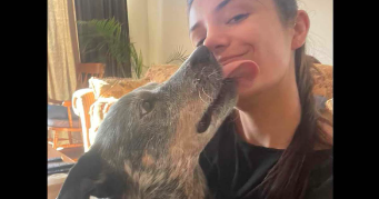 flavie pet sitter à CUSSET 03300_2