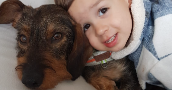 alice pet sitter à ST AUBIN DES COUDRAIS 72400_6