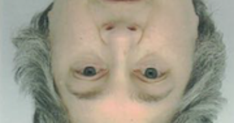 elisabeth pet sitter à PUTEAUX 92800_0