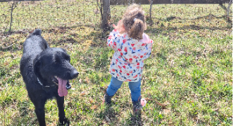 mélanie pet sitter à ST SYLVESTRE 87240_1